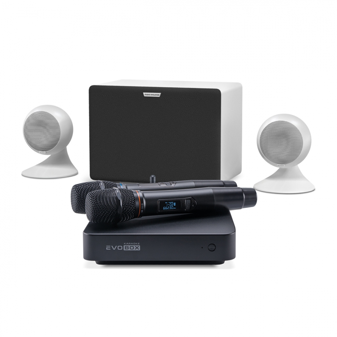 караоке-комплект EVOBOX Classic + EvoSound Sphere 2.1 в Нурлате
